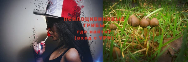 МДПВ Абинск
