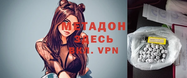 прущие грибы Абаза