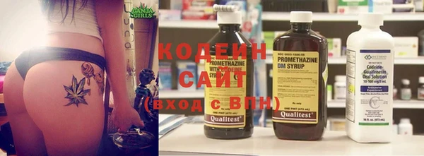 прущие грибы Абаза