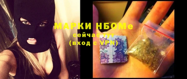 прущие грибы Абаза