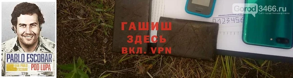 прущие грибы Абаза
