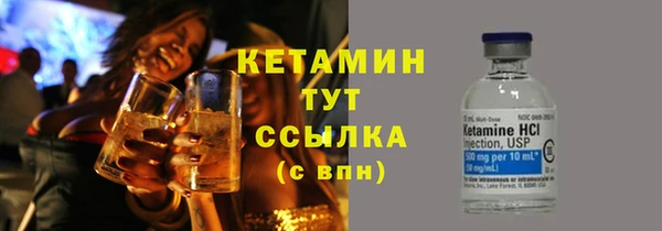 прущие грибы Абаза