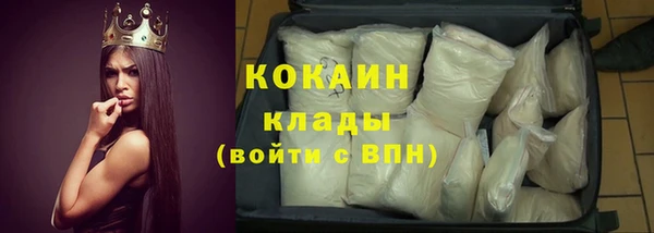 прущие грибы Абаза
