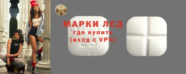 прущие грибы Абаза