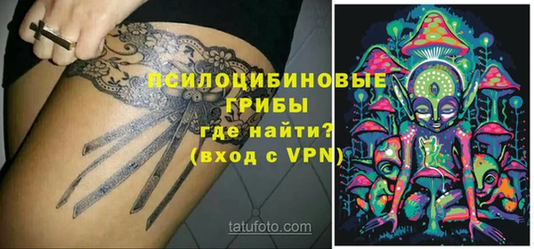 прущие грибы Абаза