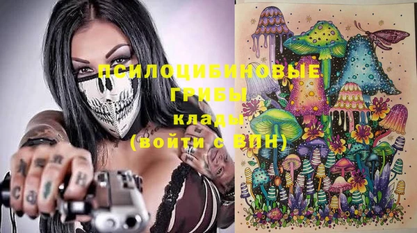 МДПВ Абинск