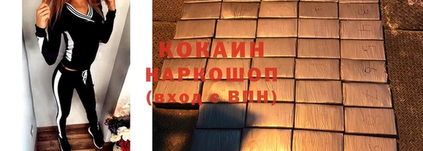 ПСИЛОЦИБИНОВЫЕ ГРИБЫ Новозыбков